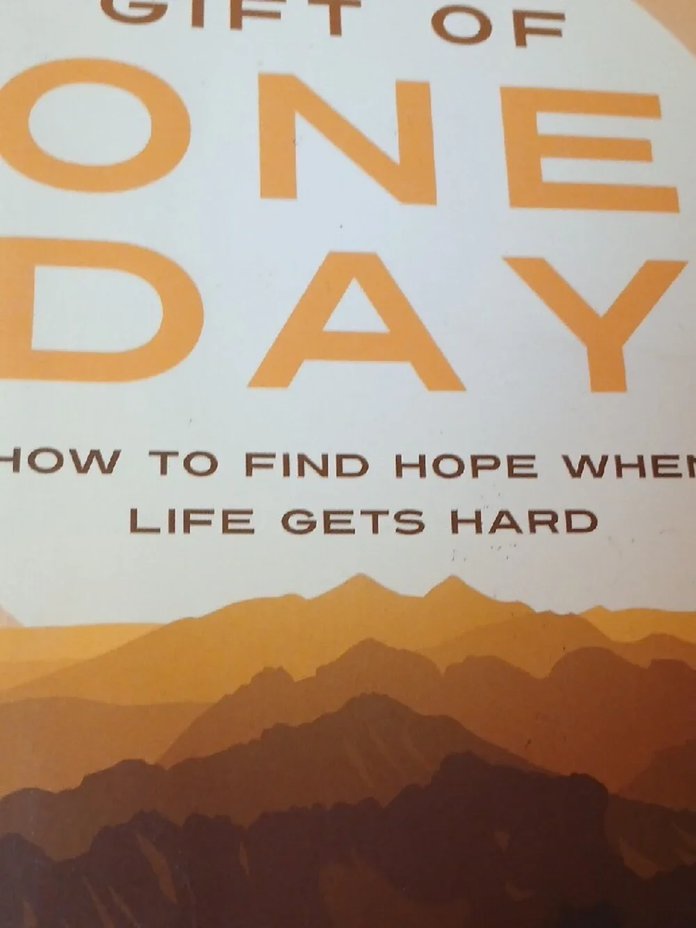 The Gift of One Day by Kerry & Chris Shook